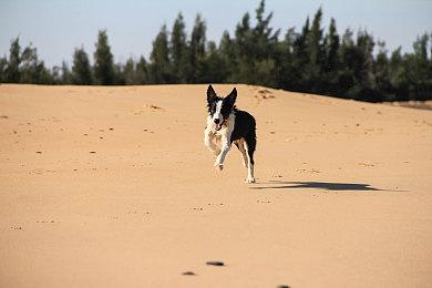 《使命召唤21：黑色行动6》僵尸模式电影宣传片和大量情报